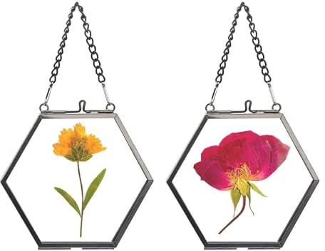 SUMTree 2 Pcs mini-Hexagon Bilderrahmen aus Metall und Glas,Hängende Glas Fotorahmen,Geometrische Ornament Pflanze Probe Clip,Glasrahmen für gepresste Blumen, Foto, Bilder (Schwarz, 4,7cm, nur Rahmen)