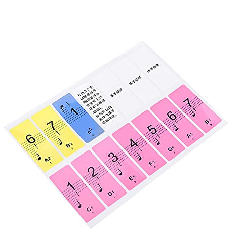 Apprendimento Rapido, Adesivi per Pianoforte Rimovibili per Tastiere a 88 Tasti, Buon Compagno per i Principianti (COLORFUL)
