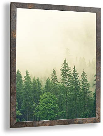 Monaldo Deluxe Bilderrahmen Posterrahmen 50 x 40 cm Oxidierte Metalloptik Wechselrahmen weisser Hintergrund klares Kunstglas