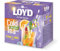 LOYD - Eistee Orange Salbei - 12 Pyramidenbeutel - Sommerlicher Ice Tea, Aromatisiertes Süßer Kalter Tee, mit Natürlichen Zutaten, Wasser mit Geschmack, Ohne Zuckerzusatz, Cold Brew - 30g