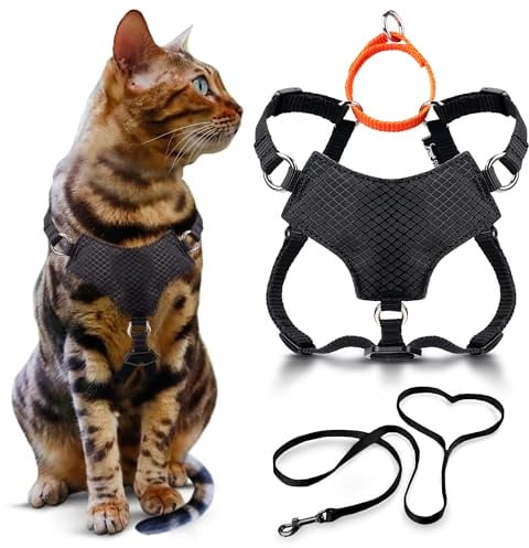 OutdoorBengal Always On™ Martingale Katzengeschirr und Leine, ausbruchsicheres Set – Weste für ganztägige Kätzchen-Abenteuer – Erwachsene Katzen – Katzenleine und Geschirr ausbruchsicher + Leine