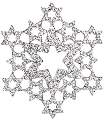 EVER FAITH österreichischen Kristall Elegant aushöhlen Stern Cluster Schneeflocke Blume Brosche Pin Silber-Ton