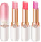 3PCS Lippenbalsam, Klarer Farbtemperaturwechsel Lippenstift Set, Lang anhaltender feuchtigkeitsspendender Lippenstift Frauen Lippenpflege, Natürlicher Lippenschutz, Lippenreparatur (A)