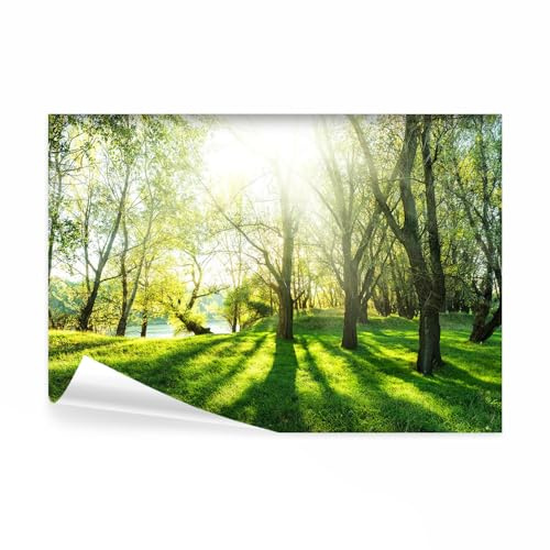 decomonkey Fototapete selbstklebend Wald, 392x280 cm, XL, Natur Landschaft | Baum, Selbstklebende, Tapeten, Wand, Fototapeten, Tapete, Wandtapete, klebend, Klebefolie