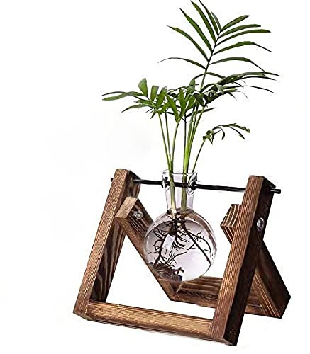 Kingbuy Pflanzen-Anzuchtstation Luftpflanze Terrarium Zwiebelvase mit Holz-Drehhalter, Desktop-Glas-Pflanzgefäß für Innenbereich, Wasserpflanzen, Zuhause, Büro, Tischdekoration – 1 Zwiebelvase