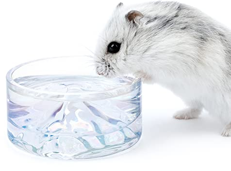 Niteangel Hamster Feeding & Water Bowls- Mount Fuji Series Glass Drinking Bowls for Dwarf Syrian Hamsters Gerbils Mice Rats or Other Similar-Sized Small Pets (Transparent)
