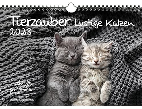 Tierzauber lustige Katzen DIN A4 Kalender für 2023 Lustige Momente mit Katzen - Seelenzauber, mehrfarbig, KN2023-4W-0046-D-0