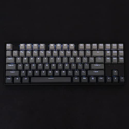 PBT Doubleshot Keycaps Gradient Gray Backlit Keycaps Full Set 123 Keys OEM Profile Custom Keyboard Keycaps für 60% 65% 70% 75% Cherry Gateron MX Switches Mechanische Tastatur