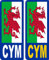 2 x Wales Welsh CYM Cymru Red Dragon Flag V2 Car Number Plate Waterproof Laminated Vinyl Stickers United Kingdom EU Brexit GB