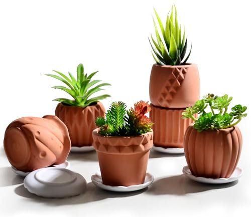 B SEPOR Set von 6 weißen Keramik-Pflanzgefäßen Porzellan Mini Blumentopf für kleine Zimmerpflanzen Sukkulenten Kaktus mit Drainage und Untersetzer aus Holz (weiße Eulen)