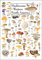 Earth Sky + Water - Mushrooms of Western North American - Poster