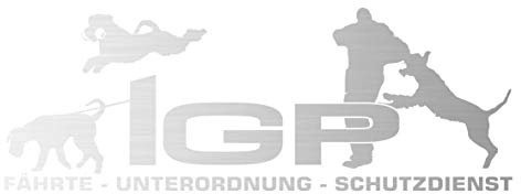 Auto Aufkleber IGP Riesenschnauzer Schnauzer Autoaufkleber K9 Hundeanhänger ehemals IPO Hundesport Hundemotiv Silber