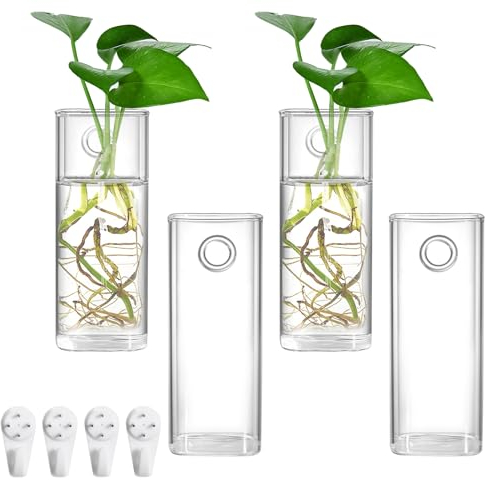 Fasmov 4 Stück Wandbehang Glas Pflanzgefäße Pflanzenterrarium Pflanzenhalter Luftpflanzen Sukkulenten Blumen Wand Vase Behälter für Pflanzen, Dekoration und Ausstellung, quadratische