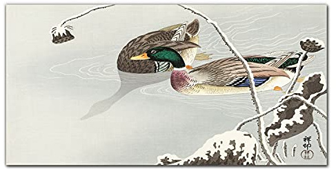 Coloray Küchenrückwand 140x70cm Glaskunstwandbild gehärtetes Glas Dekorplatte Küche Panel Glasscheibe - Tiere Vögel Wasser