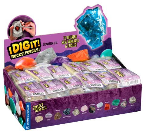 Thames & Kosmos I Dig It! Rocks & Fossils Excavation Gift Set | 24 Excavation Kits w/Mineral & Fossil Specimens | Party Favors, Stocking Stuffer, Easter Baskets | Collect 12 Unique Specimens | EN/FR