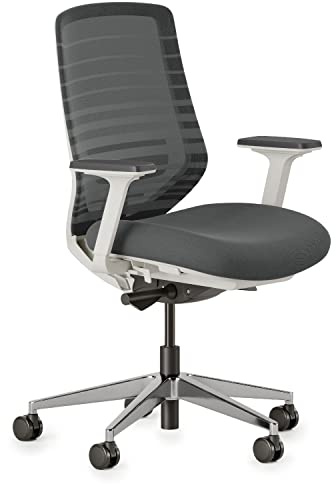 Branch Ergonomic Chair - A Versatile Desk Chair with Adjustable Lumbar Support, Breathable Mesh Backrest, and Smooth Wheels - Experience Optimal Comfort and Support - Graphite - White