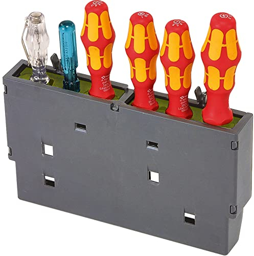 raaco ToolFix Grand, Boîte à Outils pour Panneau Mural Perforé, Capacité pour 6 Gros Outils, PP & élastomère thermoplastique, Organisation du Garage, Rangement Outils, Crochet Solide pour Mur Perforé
