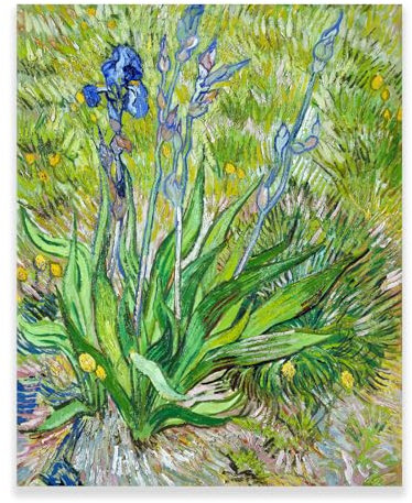 ROSVIOL Isaac Levitan Prints – Ein Birkenhain-Poster – Kunstdrucke, Vintage-Bilder für Zuhause, Büro, ungerahmt (Die Iris, 30 x 38 cm)