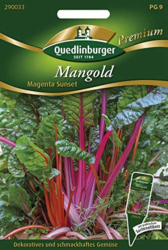 Quedlinburger 290033 Mangold Magenta Sunset (Mangoldsamen)