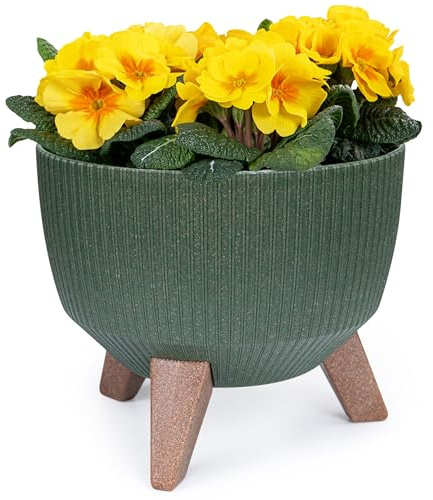 KONZEPT Pflanzschale Groß 24cm Grün, Blumentopf mit Füßen, wetterfest & UV-beständig, mit Wasserabfluss-Einsatz, Übertopf für Innen & Außen