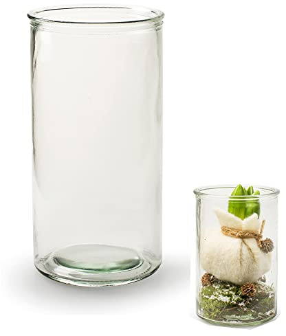 6 x Zylinder Urban Living H 20 cm - Vasen - Tischvasen - Blumenvase - Glaszylinder - Windlichter - Glaswindlichter Größe H 20 cm