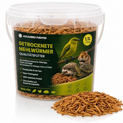 AF® Camole della Farina Essiccate 175g, 1,1L Mangime Uccelli Selvatici Tenebrio Molitor 52% Proteine, Snack Naturale per Pettirosso, Cinciallegra e Ricci, Alternativa Farina di Grillo 100% Naturale
