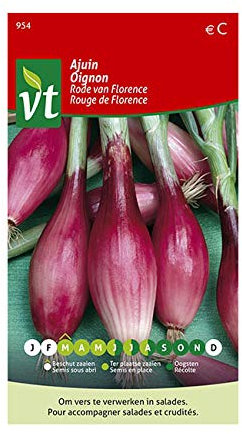Oignon Rouge de Florence Graines - Oignon à bulbe rouge allongé