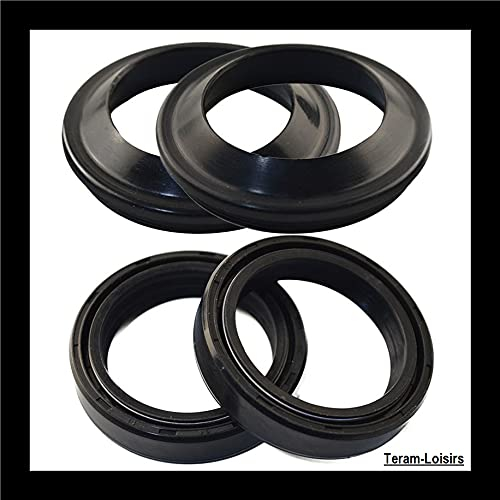 Teram Loisirs Joint Spia Forcella Compatibile per Honda Sh 300 Di 2007 Per 2012 Nuovo Francia