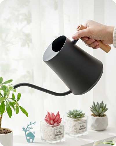 Baffect Regadera Pequeña, 1L/34OZ Regadera Metal con Mango de Madera, Diseño Curvo Regadera con Pico Largo para Pequeños Bonsái (Negro)