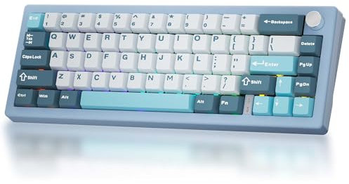 BOYI GMK67-65% Mechanical Keyboard,Gasket-Mounted HotSwap BT5.0/Type-C/2.4G Wireless South-facing RGB,Cherry Profile PBT Keycaps Linear Lubed Switches Custom Gaming Keyboard (Blue)