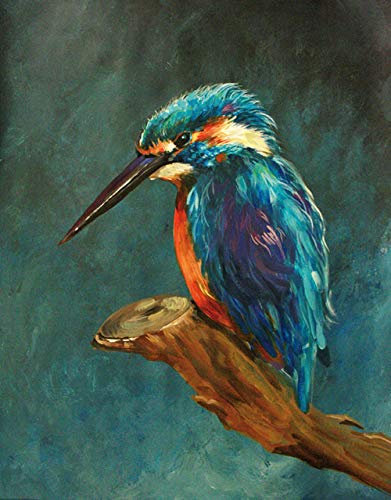 NUWCECK DIY Malen nach Zahlen für Erwachsene Eisvogel Malen nach Zahlen für Erwachsene und Kinder DIY Ölgemälde Geschenk-Kits vorgedruckt