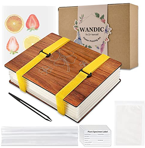 WANDIC Vierblättriges Kleeblatt-Blumenpresse-Set, Holzkunst-Set, Pflanzenpresse, Buch, Blume, Obstpresse, Kit für DIY Kunsthandwerk, Exemplare im Freien Lernen