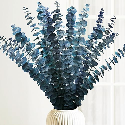 Tiges d'eucalyptus séchées préservées de 40,6 à 43,2 cm - Plantes d'eucalyptus naturelles bleues et vertes - Véritables branches d'eucalyptus pour douche, spa, fleurs séchées bleues à remplir