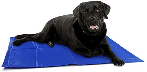 Navaris Kühlmatte Hund Kühldecke Katzen - Abkühlung Kühlmittel für Tiere - Gelmatte für Bett oder Auto - Regulierung der Körpertemperatur - Selbstkühlende Matte 81x96cm
