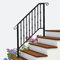 Bonnlo Outdoor Handrail for Stairs Fit 3 Steps, Hand Rails Outside Steps with Decoration, Galvanized Iron Handrail for Front Porch
