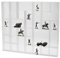 Safe 5248 Acryl-Setzkasten – Moderner Wand-Setzkasten aus hochwertigem Acrylglas, vielseitige Fächergrößen, Elegantes Design, einfache Wandmontage