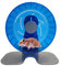 Petest Hamster Laufrad Leise Spinner Hamster Laufräder Ø 21.1 cm Blau