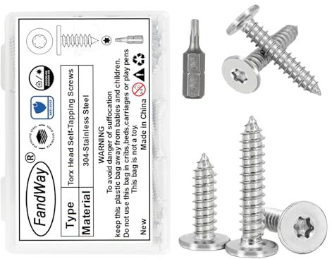 FandWay Viti Torx autofilettanti a testa piatta, viti per lamiera M3 x 25 mm, viti per legno in acciaio inossidabile 304 con scatola portaoggetti e 1 punta da trapano T10 (confezione da 100)