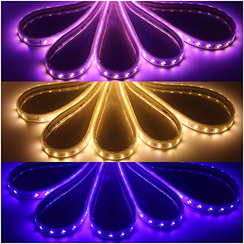 XUNATA Doble Colores 220V Tiras LED, Azul + Blanco cálido, SMD 5730 120LEDs/m, IP67 Impermeable, Escalera de Techo Blancas Tira de LED Cocina Cable Luces LED (100m)