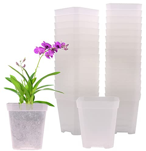 GGOUPTY Plastic Clear Square Plant Pots 7 cm 30 Pcs Transparent Succulent Planter Nursery Pots for Flower Staring Seedling