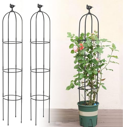 2 Piezas Enrejado de Jardín para Plantas Trepadoras, Kalolary 6 pies Torre Jardín Negra Obelisco Enrejado Metal Resistente Óxido Soporte para Plantas Maceta Interior Exterior Flores Verduras Frutas