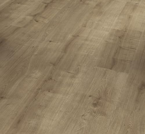 Parador Dekorboden Laminat Basic 400 Eiche karamell Seidenmatte Struktur Landhausdiele
