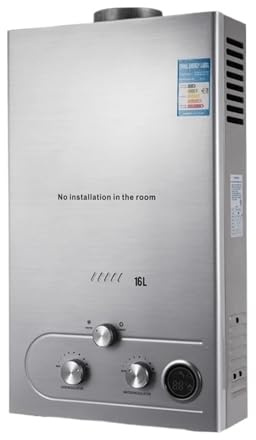 16L Stainless Steel Wall Mounted Domestic Hot Water Pump Liquefied Gas Natural Gas Water Heater Instant Bath Widely Applied