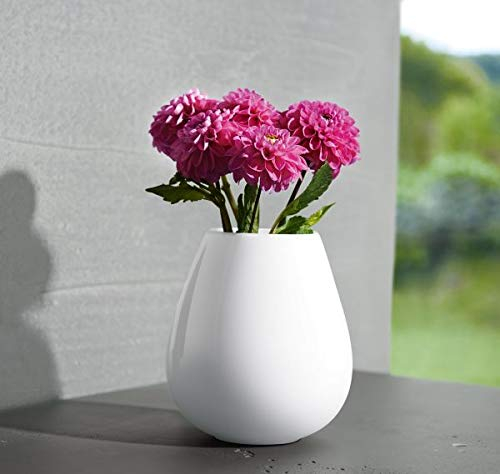 ASA Vase, weiß Ease D. 9 cm, H. 18 cm 91033005 ! Vorteilsset beinhaltet 2 x den genannten Artikel und Set mit 4 EKM Living Edelstahl Strohhalme
