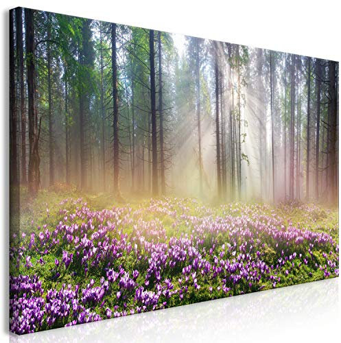 murando - Wandbilder XXL Wald Nebel 80x40 cm 1 tlg - Wand Deko Vlies Leinwand Bilder Groß Wanddeko Wohnzimmer Schlafzimmer Kunstdrucke - Blumenwiese violett c-B-0373-b-a