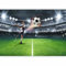 murando - Papier peint panoramique inspirant 300x210 cm - Revêtement mural décoration pour chambre salon cuisine - Design unique et moderne - Gris vert - Joueur de football de stade i-C-10043-a-a