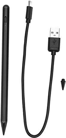 Haofy Magnetischer Stylus-Stift, Typ-C-Ladeschnittstelle, Palm Reject Bright Writing Tablet Stylus für Student Air 3 4 5 Generation (Schwarz)