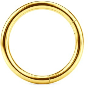 LAURITAMI Titan Nasenpiercing Ring Gold Silber 20G 18G 16G 14G Nasenring | Titan Septum Piercing Ring, 6/8/10/12mm Nostril Helix Conch Knorpel Tragus Nasenpiercing Bauchnabelpiercing Schmuck