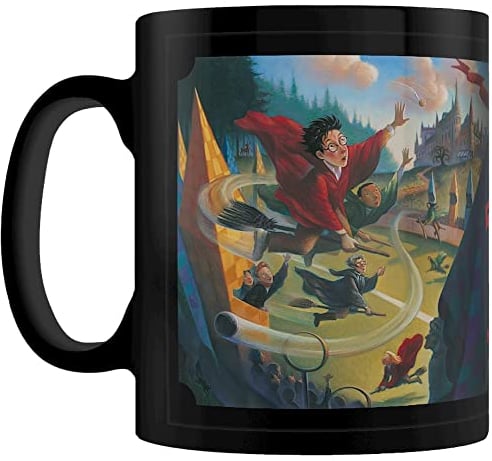 Pyramid International Taza de cerámica de Harry Potter en caja de regalo (diseño de Quidditch) de 11 oz - Producto oficial