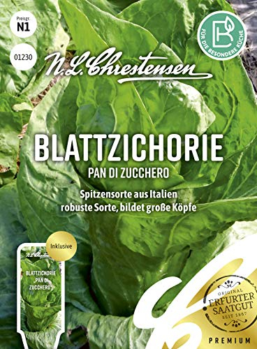 Blattzichorie Pan di zucchero Samen, Saatgut